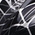Black Spider
